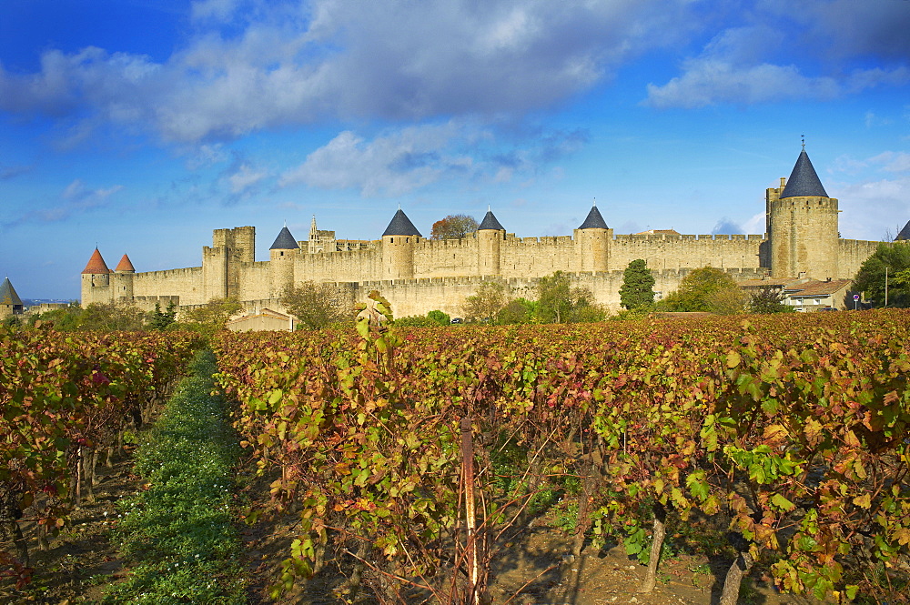 Medieval city of Carcassonne, UNESCO World Heritage Site, Aude, Languedoc-Roussillon, France, Europe