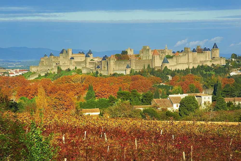 Medieval city of Carcassonne, UNESCO World Heritage Site, Aude, Languedoc-Roussillon, France, Europe