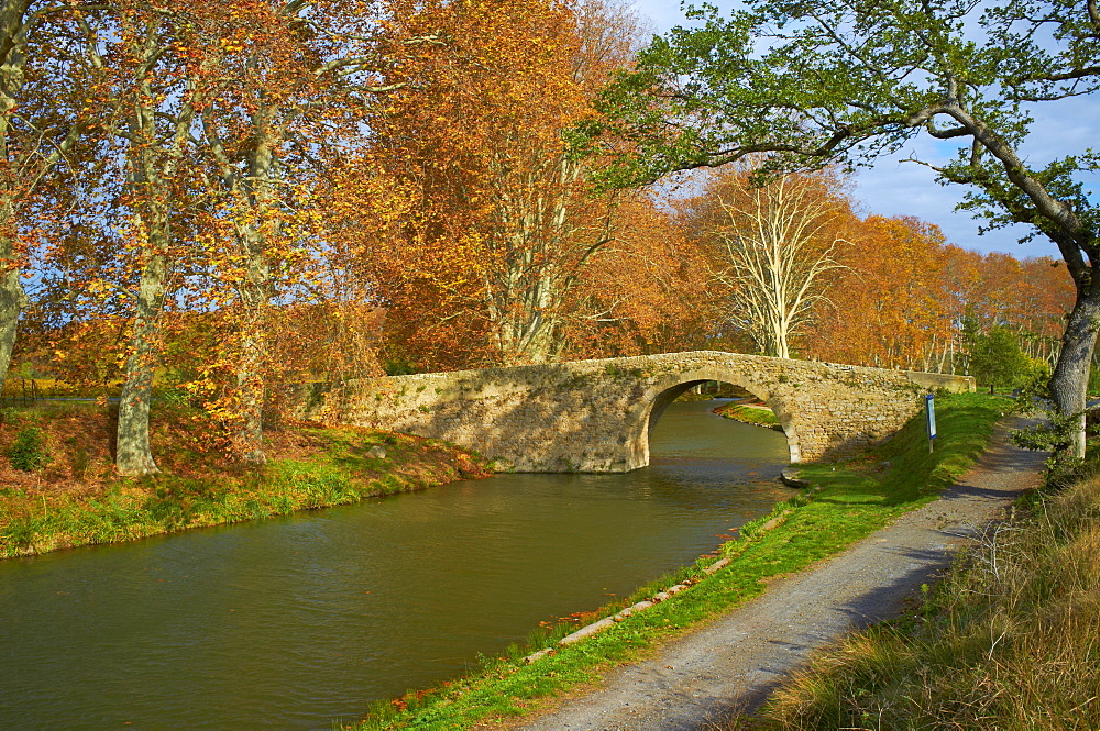 Yellow and red leaves in autumn and old bridge along the Canal du Midi, UNESCO World Heritage Site, Aude, Languedoc-Roussillon, France, Europe