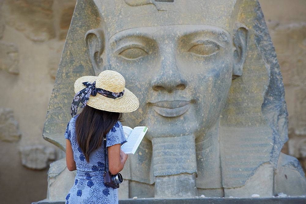 Tourist studying a statue of the pharaoh Ramesses II, Temple of Luxor, Luxor, Thebes, UNESCO World Heritage Site, Egypt, North Africa, Africa