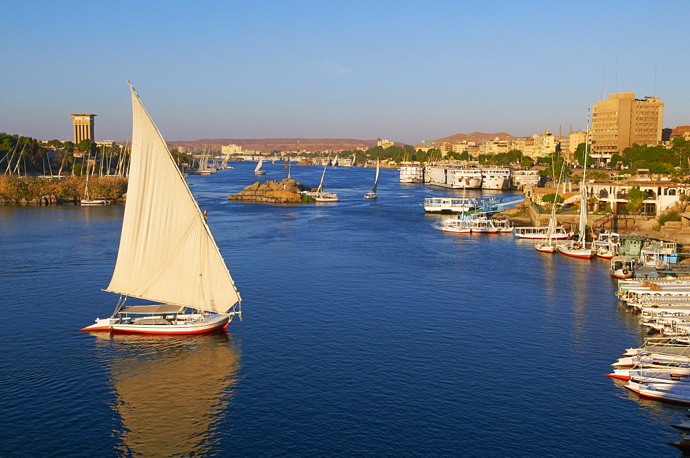 Feluccas on the River Nile, Aswan, Egypt, North Africa, Africa