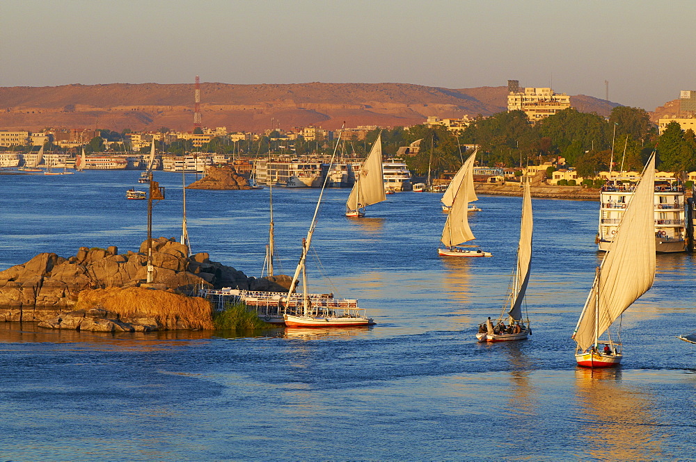 Feluccas on the River Nile, Aswan, Egypt, North Africa, Africa