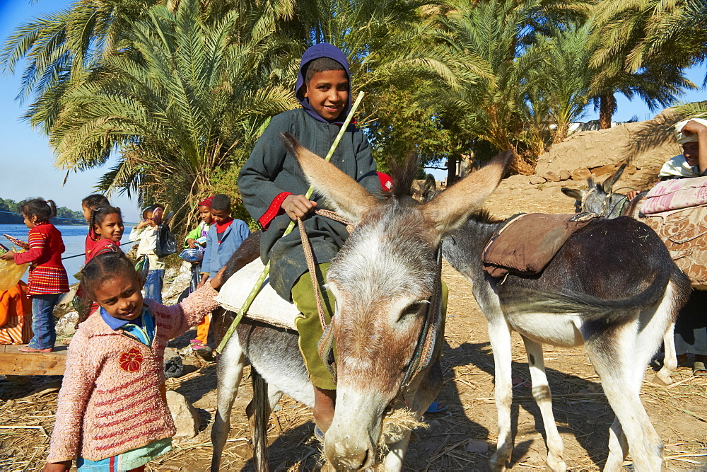 Ramadi village, Nile Valley between Luxor and Aswan, Egypt, North Africa, Africa