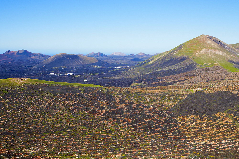 Vineyard on the lava, Biosphere Reserve, Lanzarote, Canary Islands, Spain, Europe