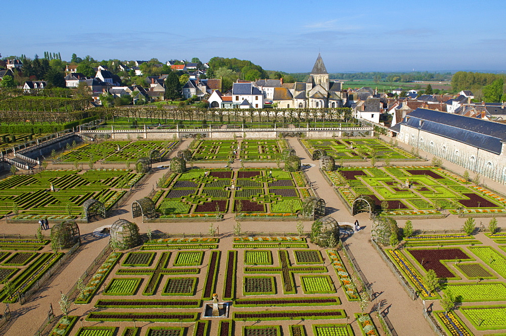 Formal garden at the Chateau de Villandry, UNESCO World Heritage Site, Loire Valley, Indre et Loire, France, Europe