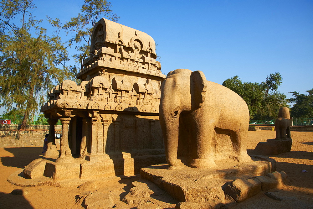 Five Ratha, Mamallapuram (Mahabalipuram), UNESCO World Heritage Site, Tamil Nadu, India, Asia