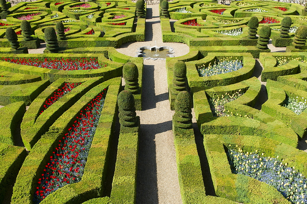 Formal garden at the Chateau de Villandry, UNESCO World Heritage Site, Loire Valley, Indre et Loire, France, Europe