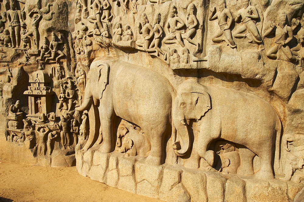 Arjuna's Penance granite carvings, Mamallapuram (Mahabalipuram), UNESCO World Heritage Site, Tamil Nadu, India, Asia