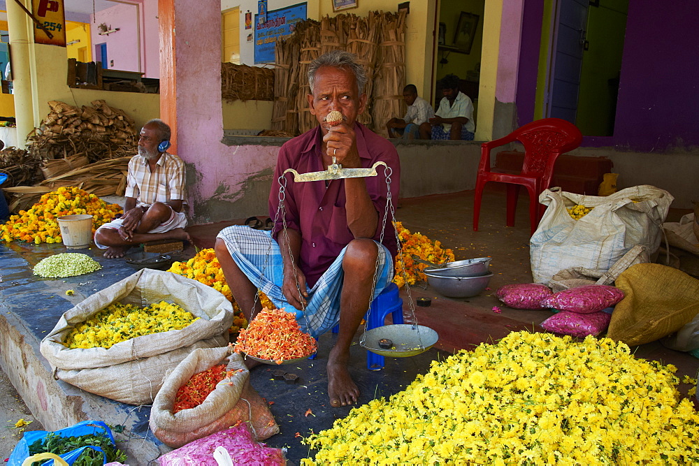 Flower market, Madurai, Tamil Nadu, India, Asia