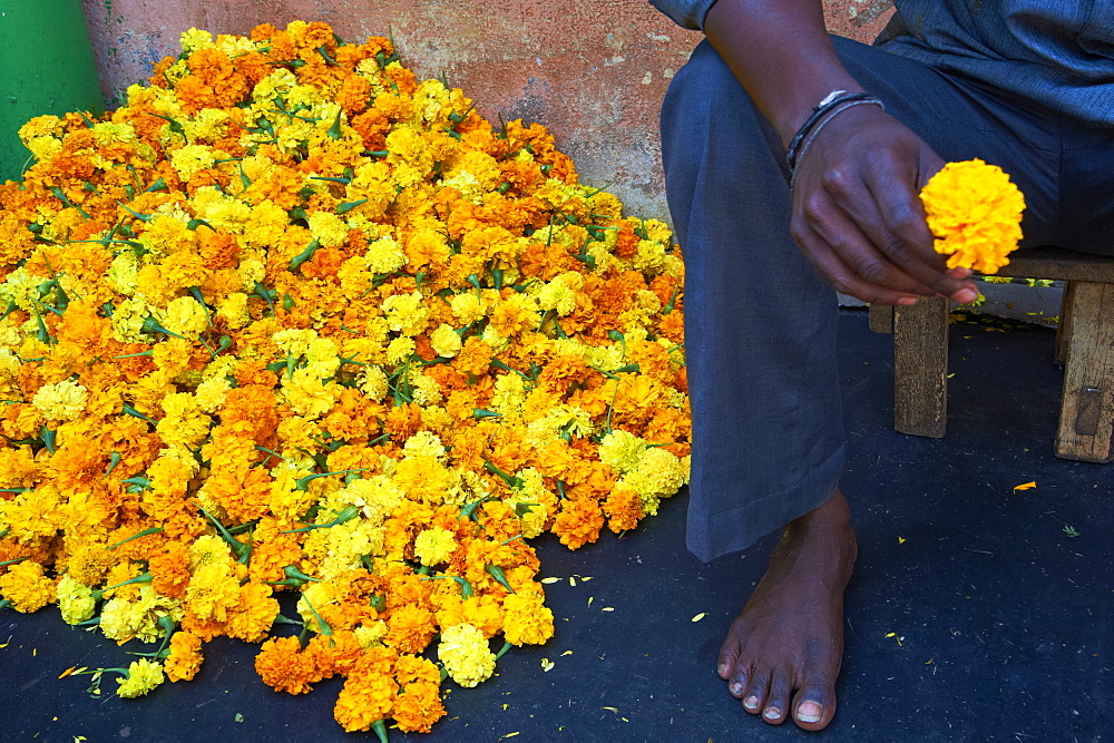 Marigolds, Flower market, Madurai, Tamil Nadu, India, Asia