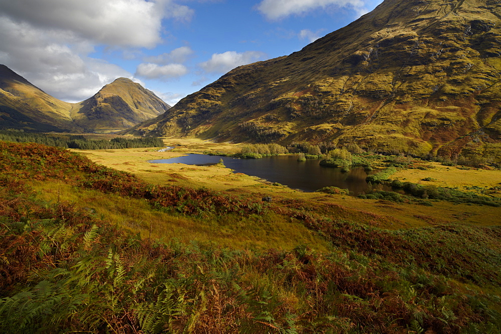 Beautiful autumn light in Glen Etive, Argyll, Scotland, United Kingdom, Europe