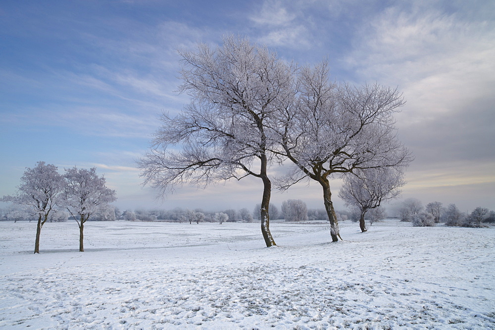 A beautiful hoar frost on a December afternoon at Bure Park in Great Yarmouth, Norfolk, England, United Kingdom, Europe