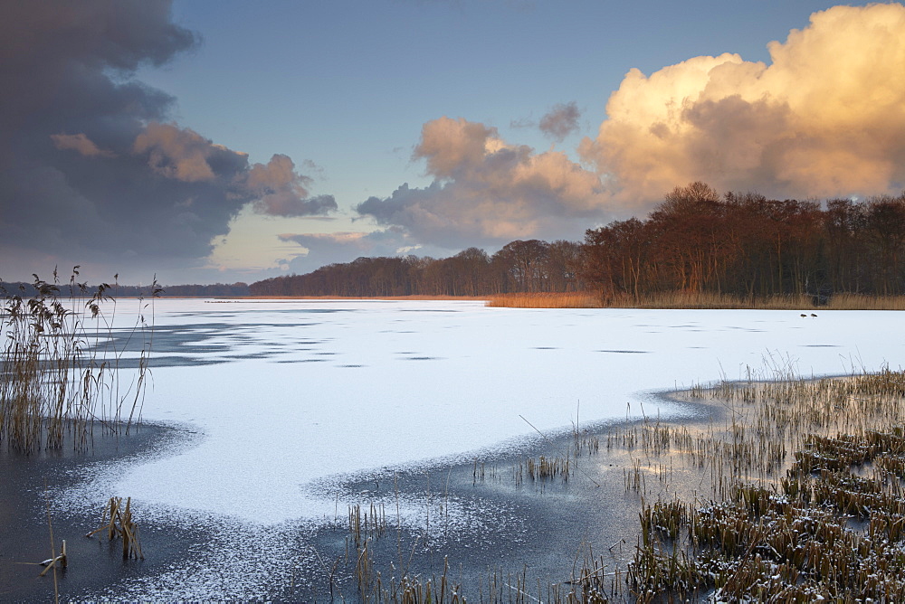 Freezing wintry conditions in the Norfolk Broads at Ormesby Little Broad, Filby, Norfolk, England, United Kingdom, Europe