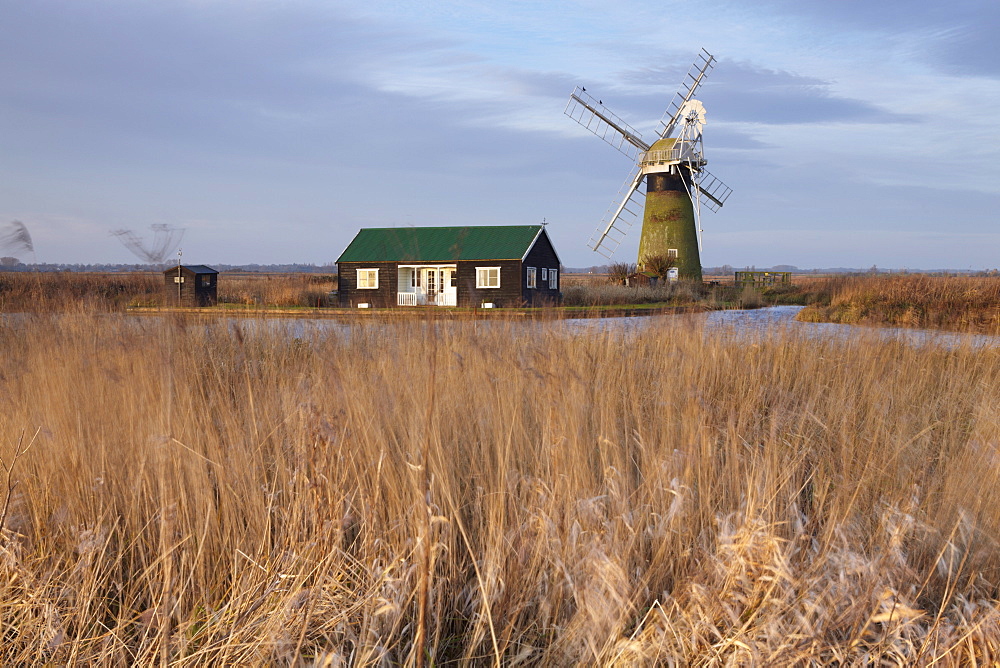 A view of St. Benet's Mill beside the River Thurne at Thurne, Norfolk, England, United Kingdom, Europe