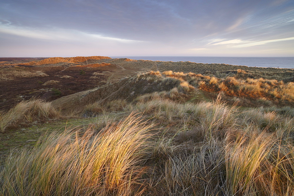 Dawn on the dunes at Winterton, Norfolk, England, United Kingdom, Europe