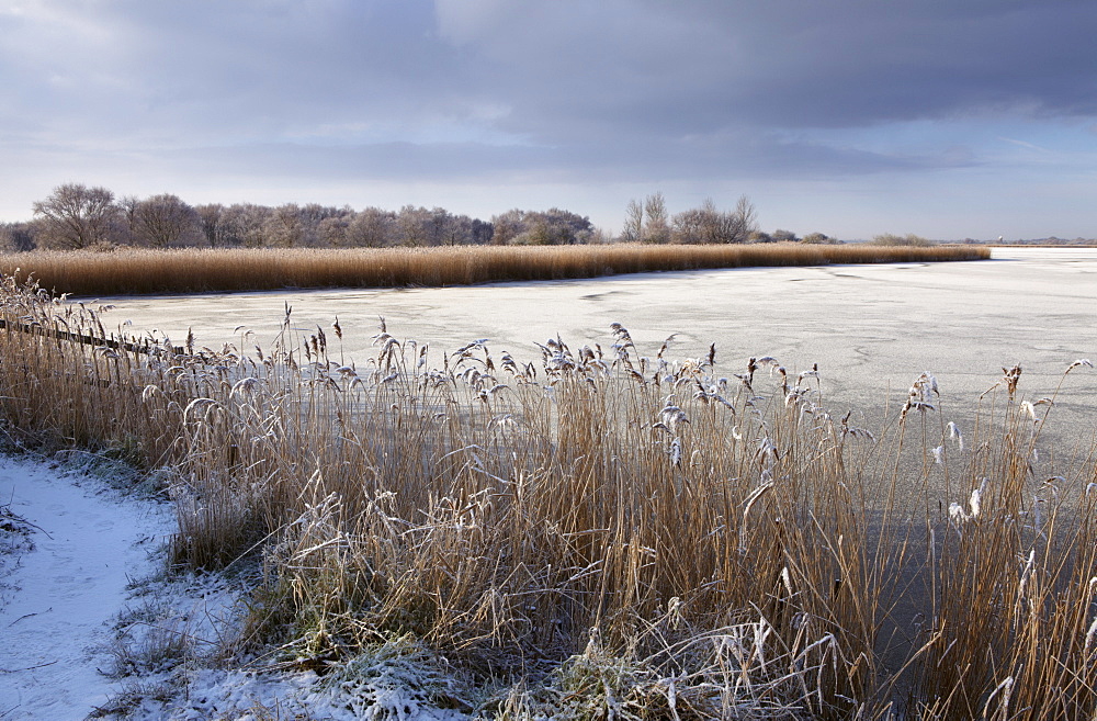 A cold winter day in the Norfolk Broads showing a frozen Horsey Mere, Horsey, Norfolk, England, United Kingdom, Europe