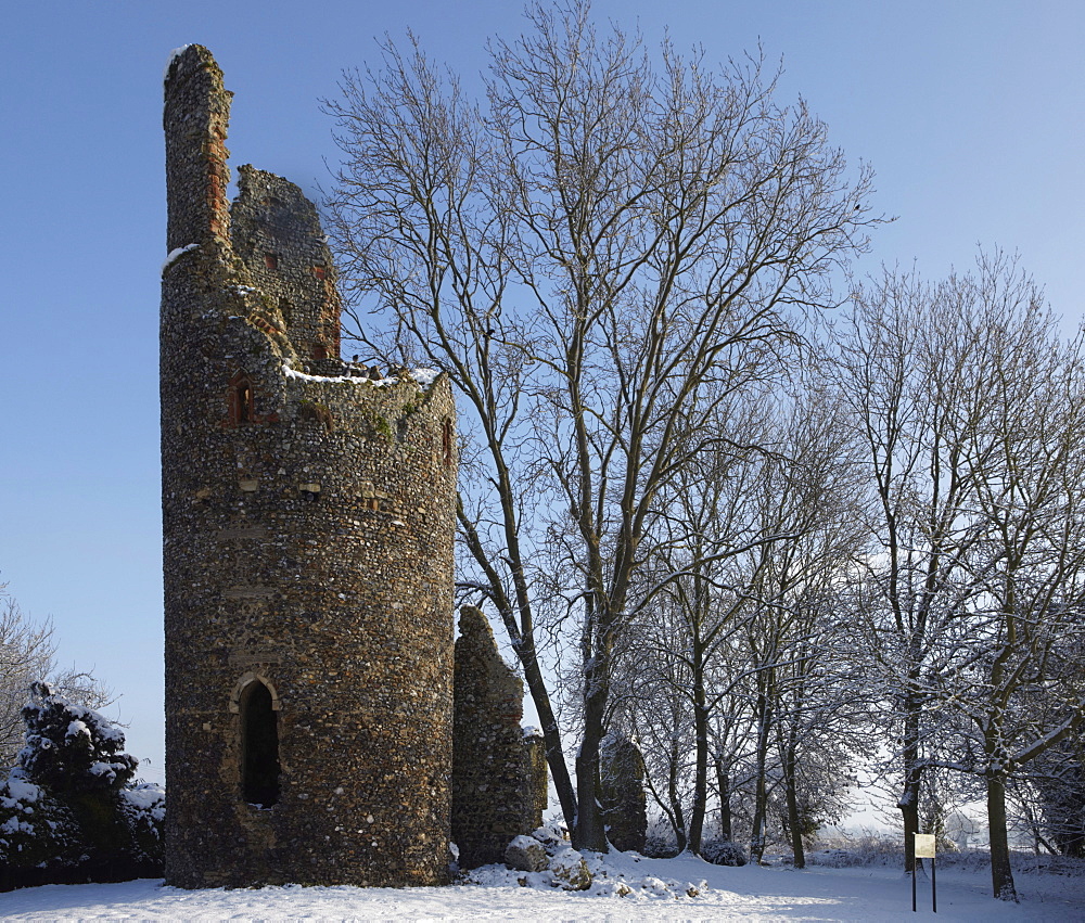 Kirby Bedon, Norwich, Norfolk, England, United Kingdom, Europe