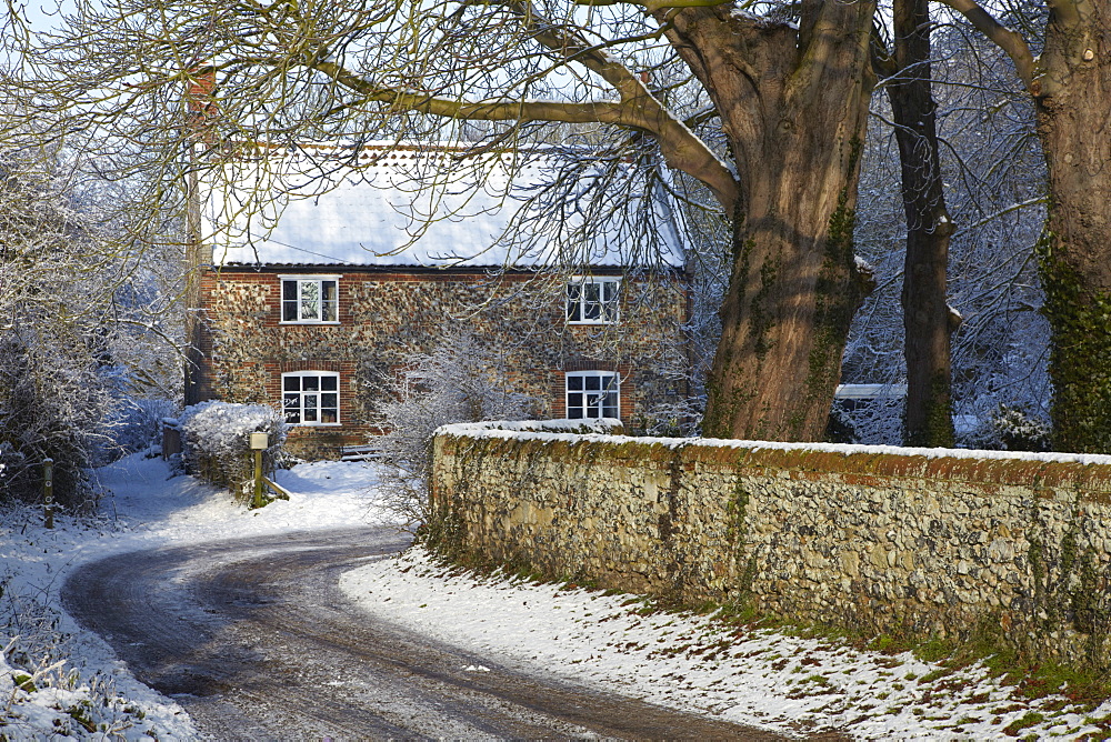 A winter scene from Surlingham, Norfolk, England, United Kingdom, Europe