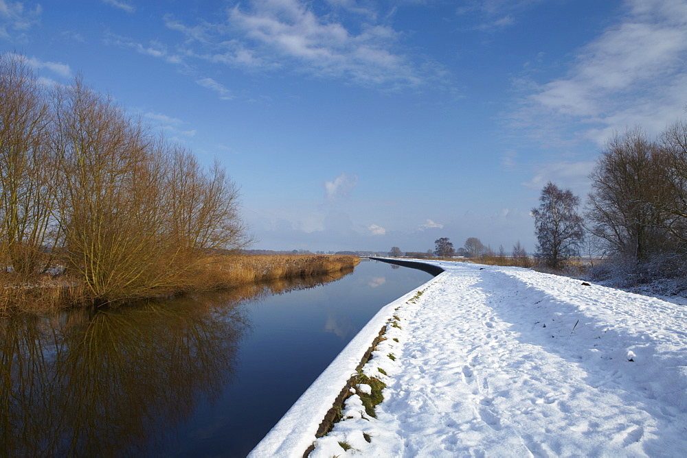 A winter scene at Rockland Dyke in the Norfolk Broads, Norfolk, England, United Kingdom, Europe