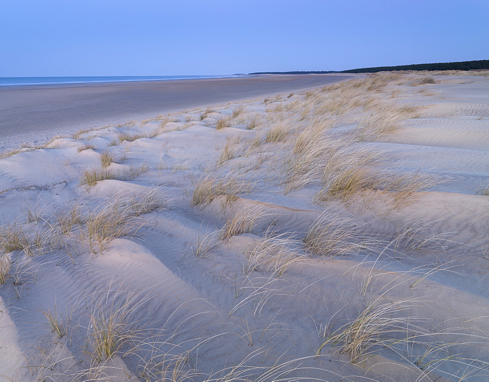 Twilight at the dunes and beach at Holkham Bay, Norfolk, England, United Kingdom, Europe