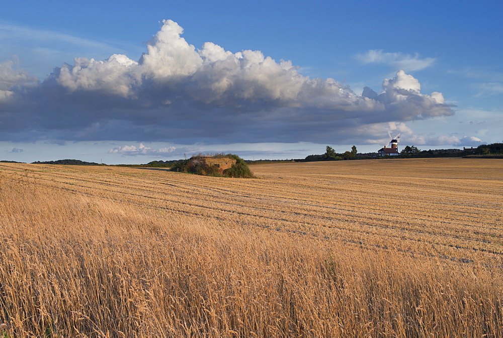 Beautiful summer evening light in this view from Weybourne, North Norfolk, England, United Kingdom, Europe