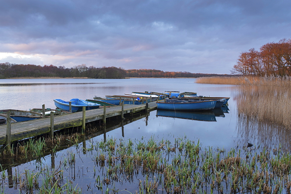 A view of Ormesby Little Broad, Norfolk, England, United Kingdom, Europe