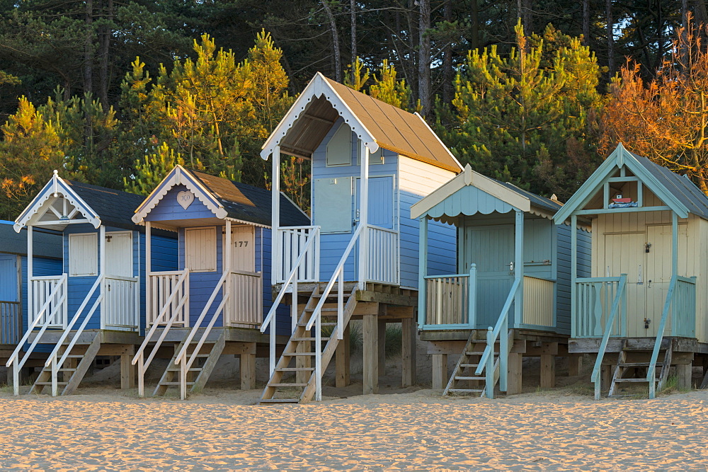 A view of Beach Huts at Wells next the Sea, Norfolk, England, United Kingdom, Europe