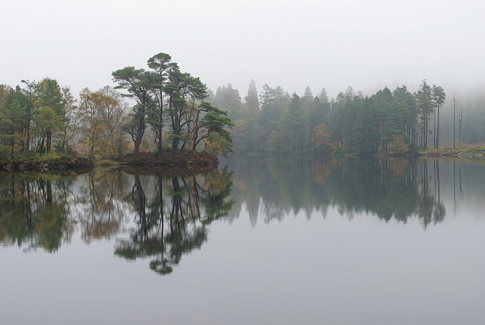 The view from above Tarn Hows in the Lake District National Park, Cumbria, England, United Kingdom, Europe