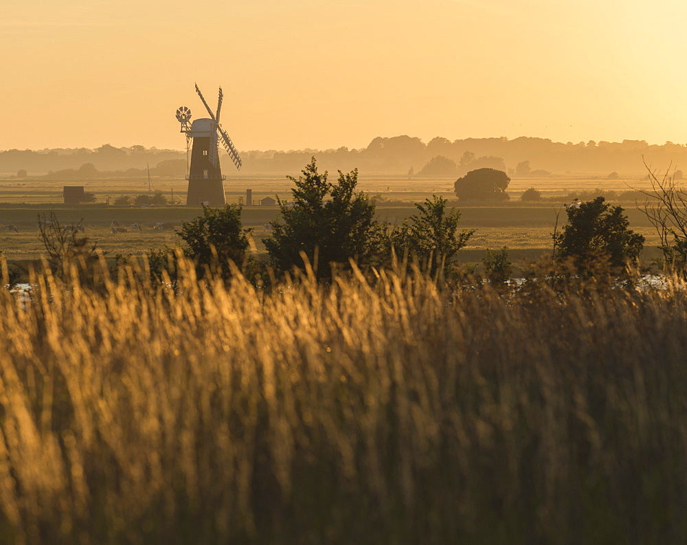 A view across marshland towards Berney Arms Mill, Norfolk, England, United Kingdom, Europe