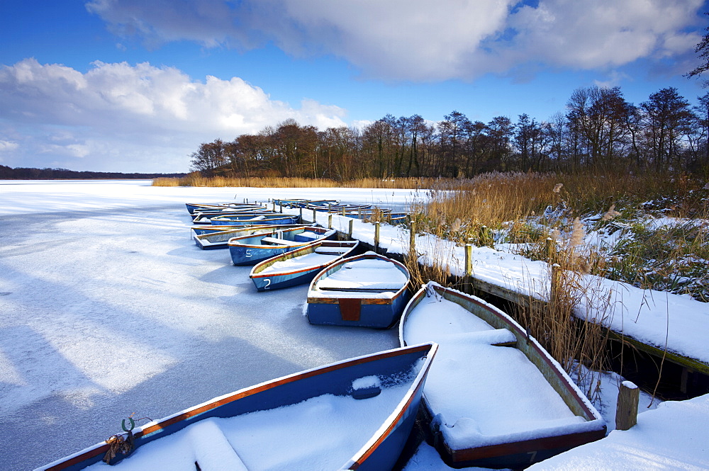 Ormersby Little Broad, part of the Trinity Broads of the Norfolk Broads in wintry conditions, Norfolk, England, United Kingdom, Europe