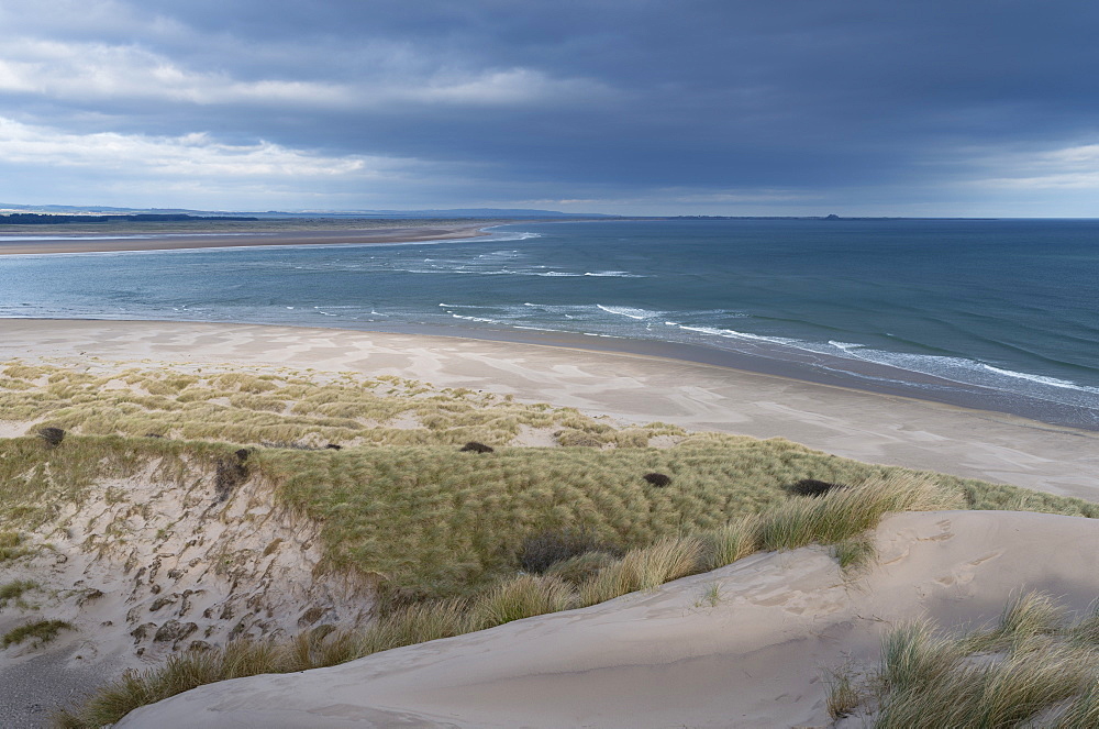 A view of Budle Bay, Northumberland, England, United Kingdom, Europe