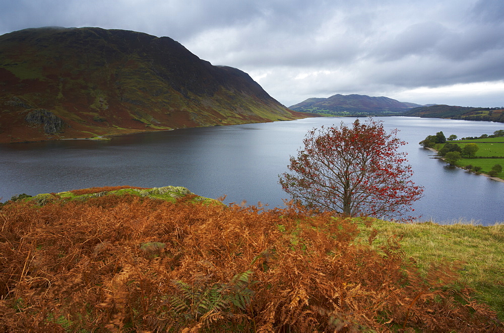 A moody autumn day at Crummock Water, Lake District National Park, Cumbria, England, United Kingdom, Europe