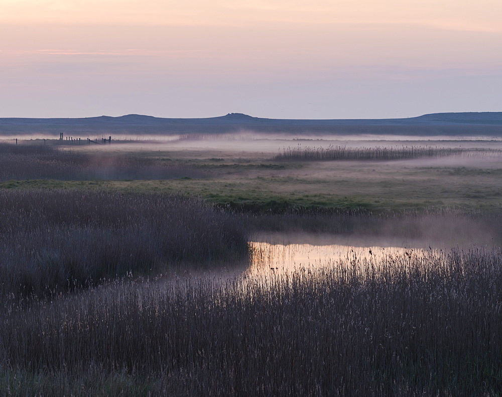 A misty morning at the marshes at Cley next the Sea, Norfolk, England, United Kingdom, Europe