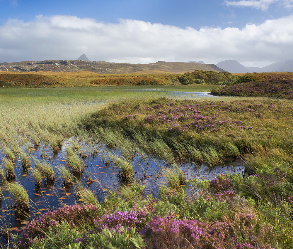 A view towards the mountains of Assynt and Coigach from Loch Garvie, Ross and Cromarty, Highlands, Scotland, United Kingdom, Europe