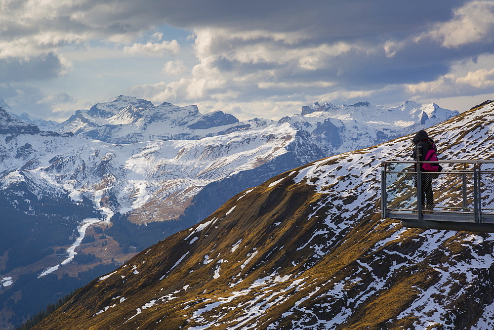 View from Grindelwald First, Jungfrau region, Bernese Oberland, Swiss Alps, Switzerland, Europe