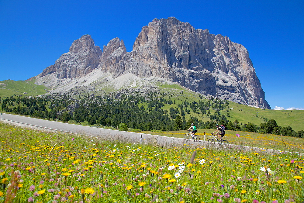 Cyclists and Sassolungo Group, Sella Pass, Trento and Bolzano Provinces, Italian Dolomites, Italy, Europe