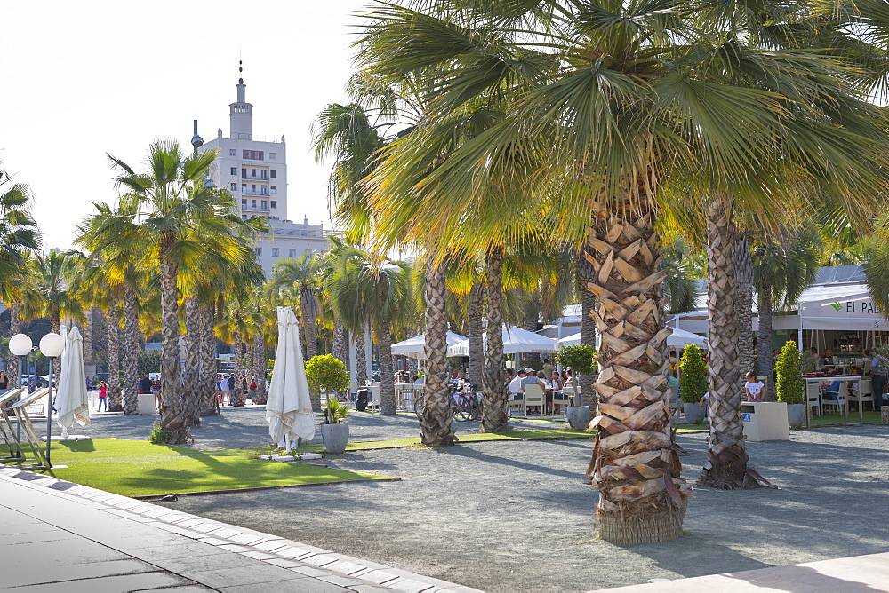 Restaurant on Paseo del Muelle Uno in Malaga Marina, Malaga, Costa del Sol, Andalusia, Spain, Europe