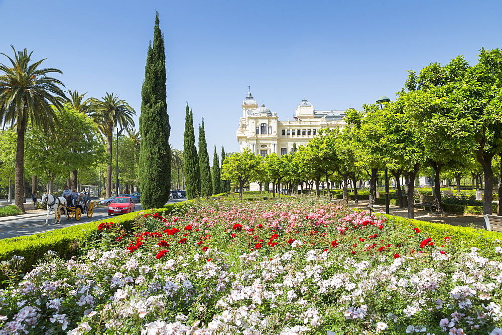 View of Jardines de Pedro Luis Alonso and Town Hall Palace (Ayuntamiento), Malaga, Costa del Sol, Andalusia, Spain, Europe