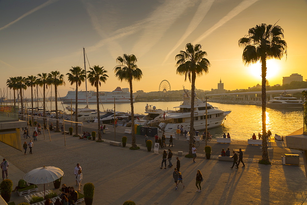 Sunset over Malaga Marina, Malaga, Costa del Sol, Andalusia, Spain, Europe