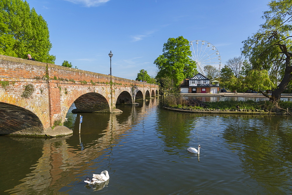 Footbridge over River Avon and ferris wheel, Stratford upon Avon, Warwickshire, England, United Kingdom, Europe