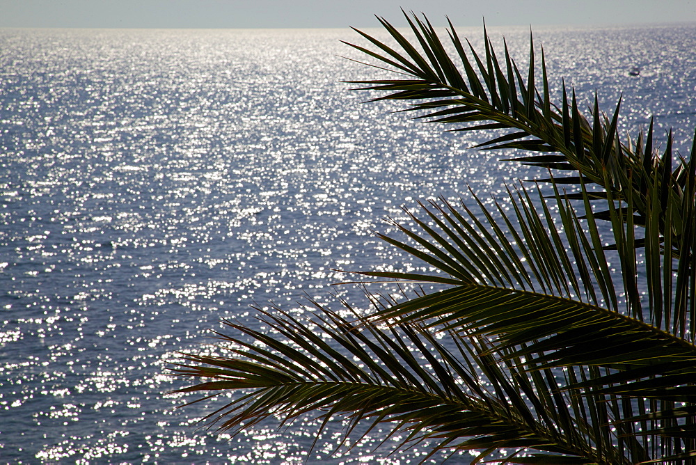 Adriatic Sea, Budva, Montenegro, Europe