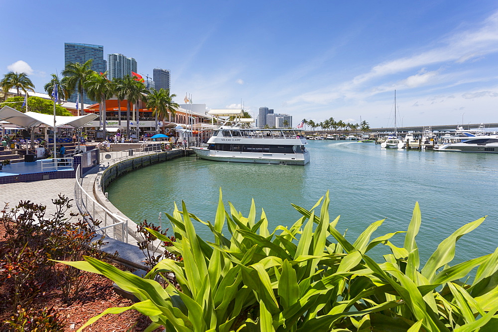 Harbour in the Bayside Marketplace in Downtown, Miami, Florida, United States of America, North America