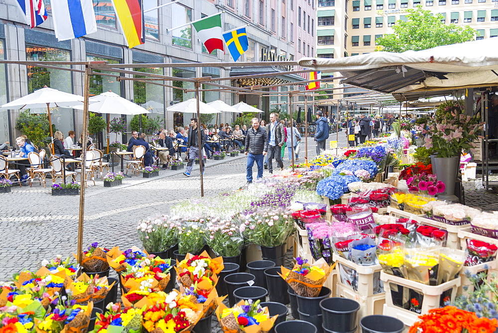 Flower stall and cafe in Hotorget, Stockholm, Sweden, Scandinavia, Europe