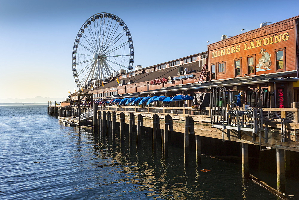 Seattle Great Wheel on Pier 57 in the foreground in late afternoon sunshine. Seattle, Washington State, United States of America, North America