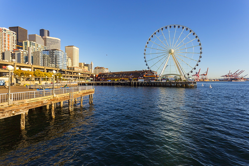 Seattle Great wheel on Pier 57 during the golden hour before sunset, Alaskan Way, Downtown, Seattle, Washington State, United States of America, North America