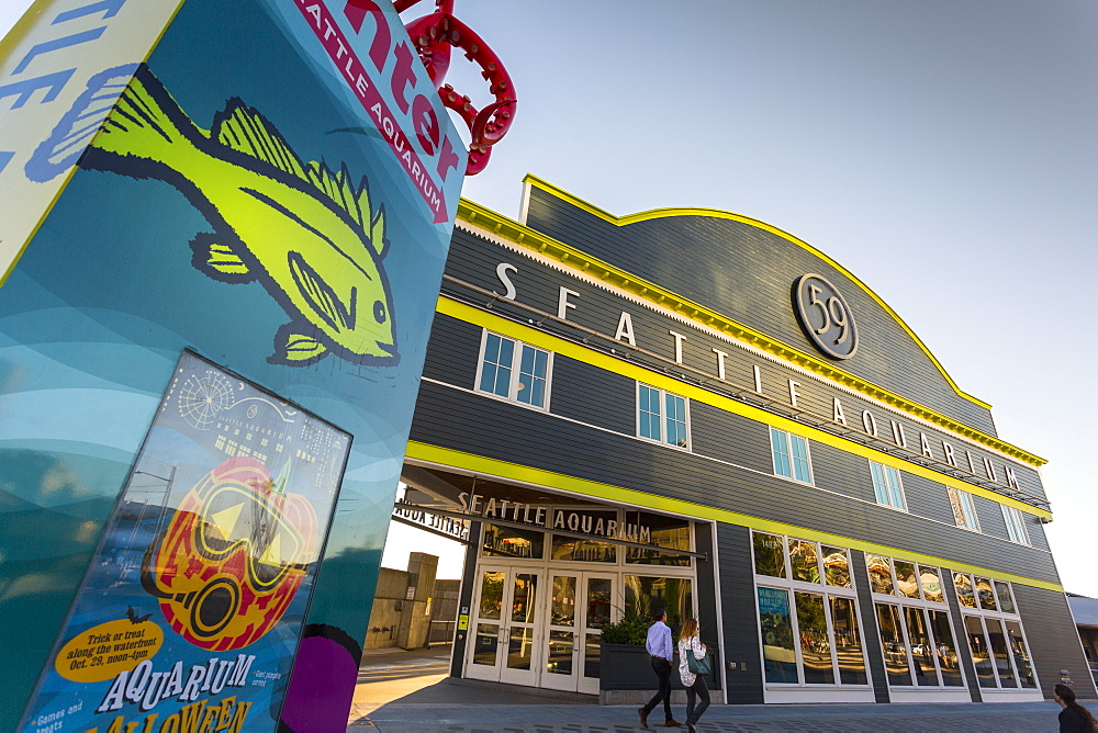 Seattle Aquarium on Pier 57 during the golden hour before sunset, Alaskan Way, Downtown, Seattle, Washington State, United States of America, North America