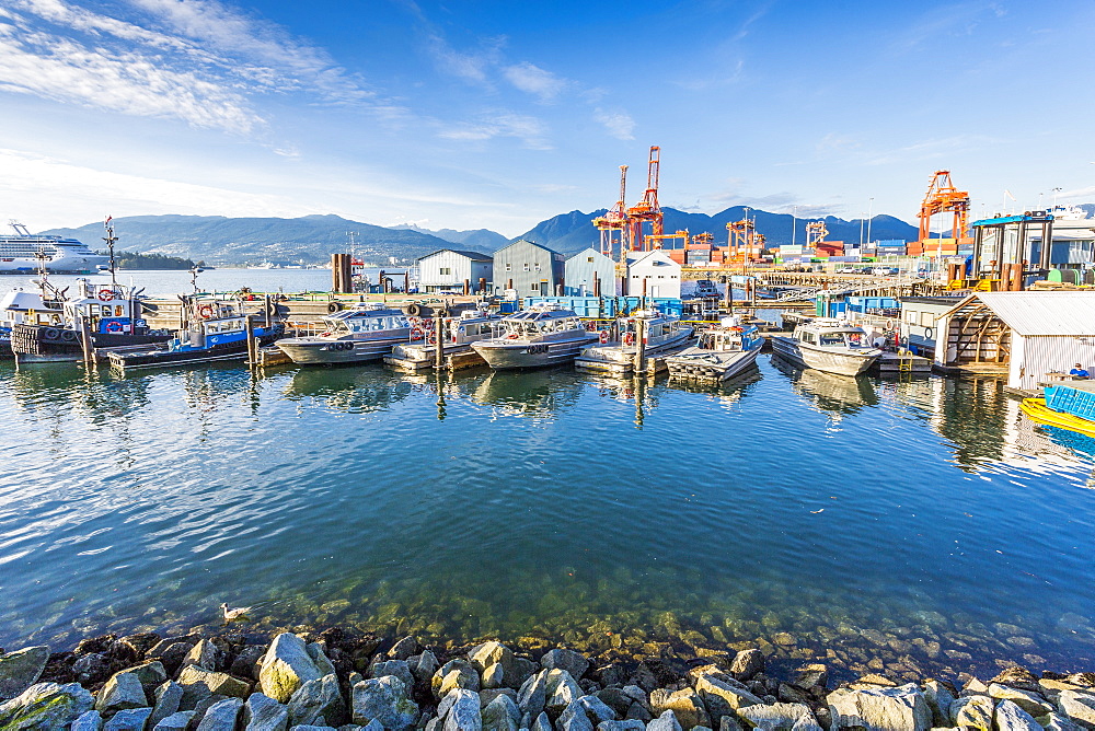 View of cruise ship and boats moored in harbour near CRAB Park at Portside, Vancouver, British Columbia, Canada, North America