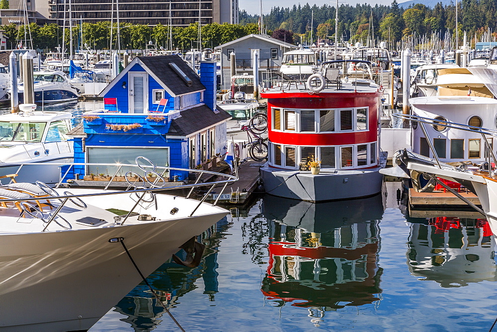 Colourful boats in Vancouver Harbour near the Convention Centre, Vancouver, British Columbia, Canada, North America