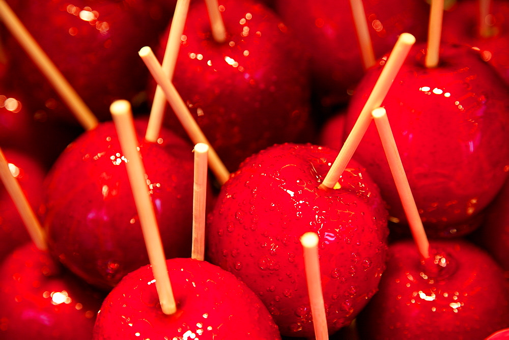 Toffee apples, Christmas Market, Dortmund, North Rhine-Westphalia, Germany, Europe