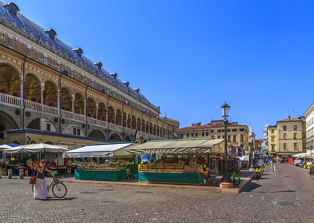 Medieval fresco-filled civic building Ragione Palace and market in Piazza della Frutta, Padua, Veneto, Italy, Europe